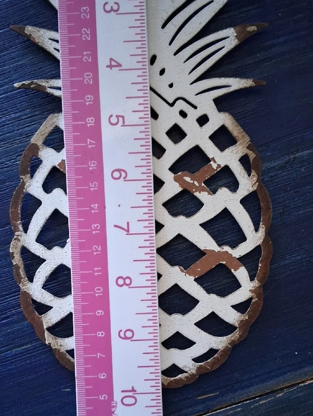 N/A charming pineapple